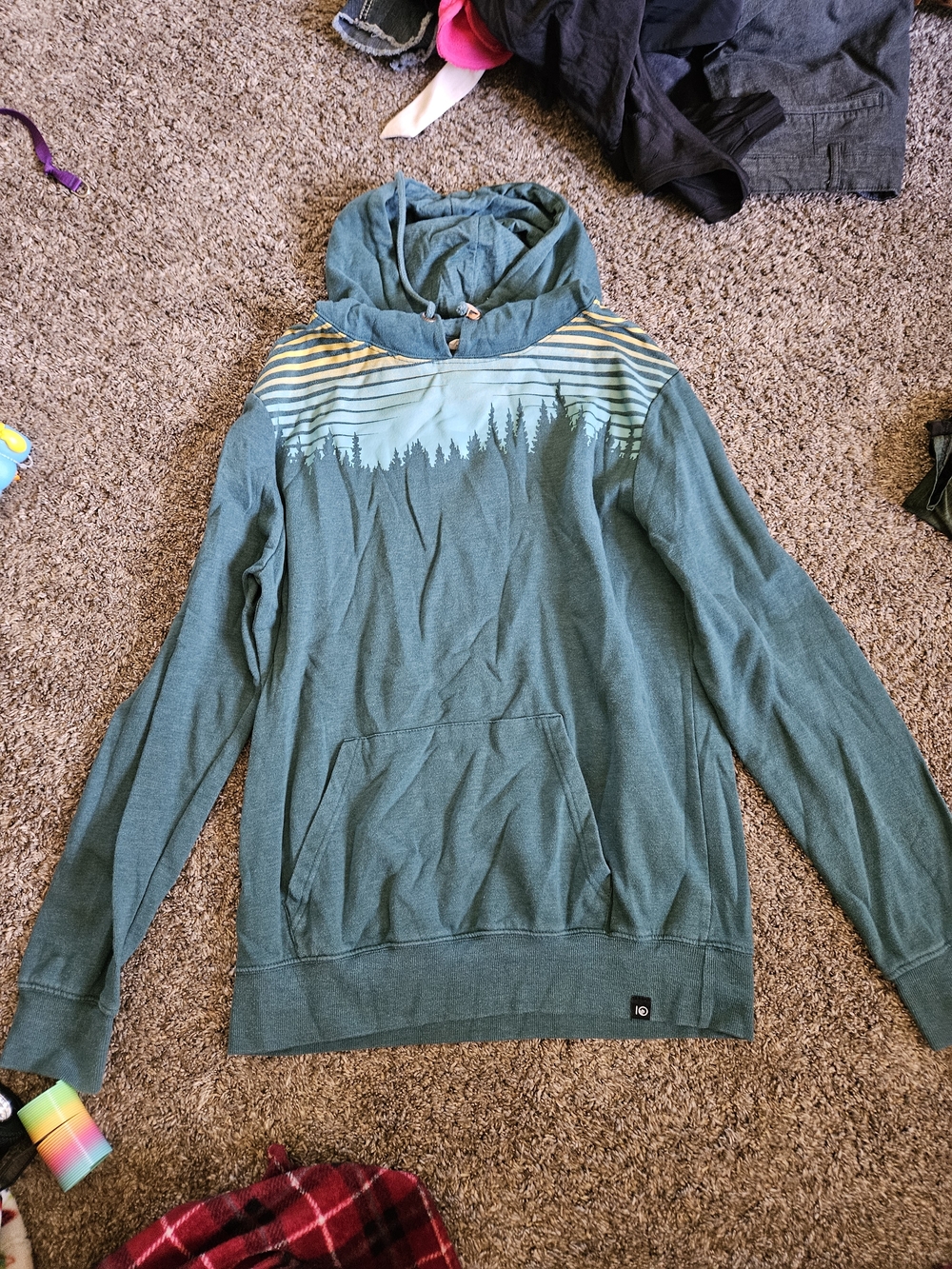 Teal Hoodie with Forest Silhouette